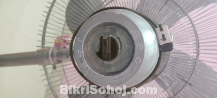 বড় ফ্যান